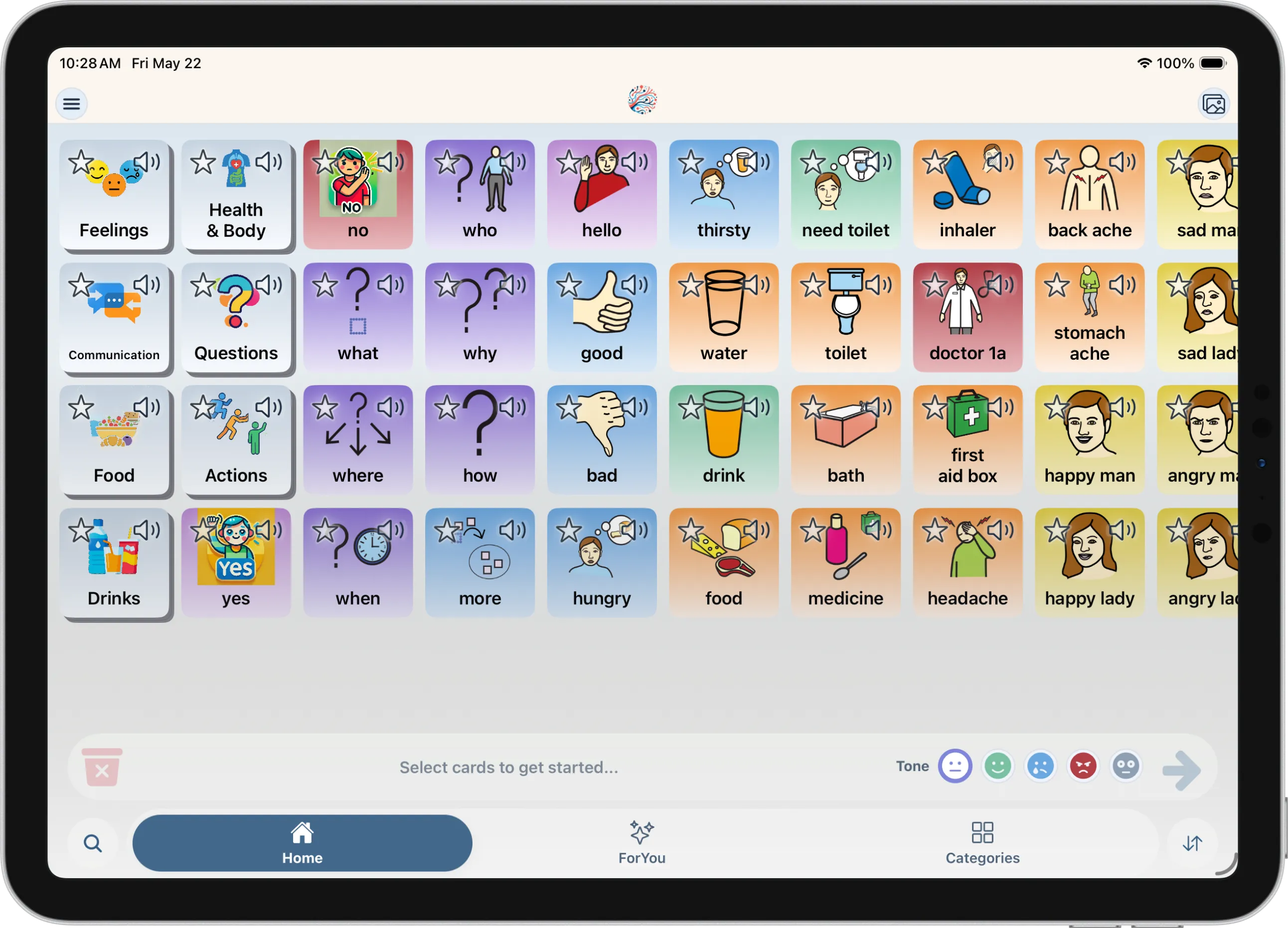Mosaic Voice on iPad 1