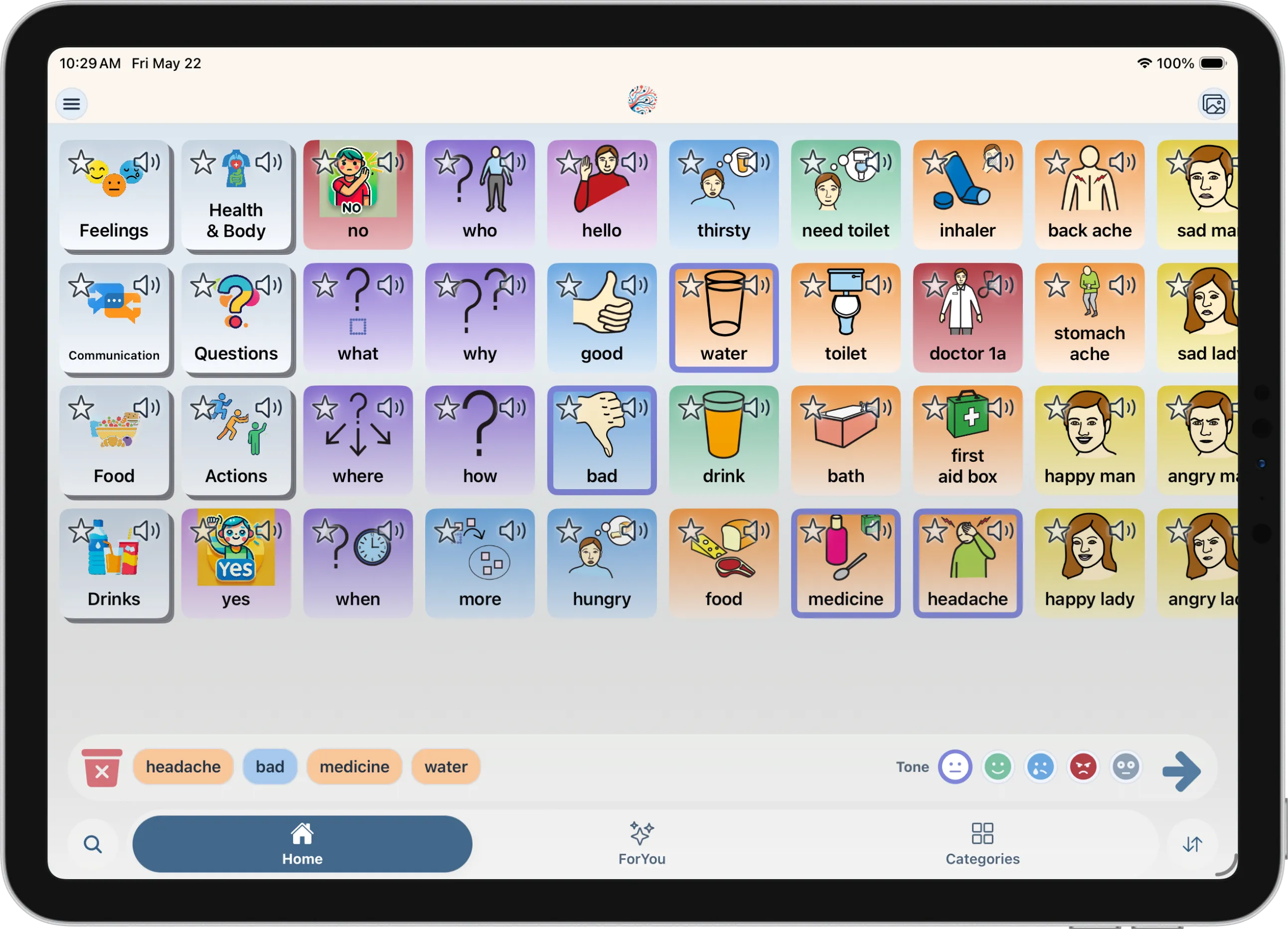 Mosaic Voice on iPad 2